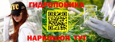 гашик Изобильный